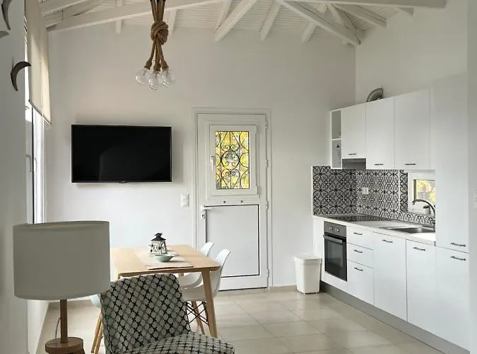Seafront Loft - Akti Elia 尼基季